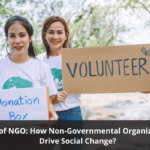 Role of NGO: How Non-Governmental Organizations Drive Social Change?