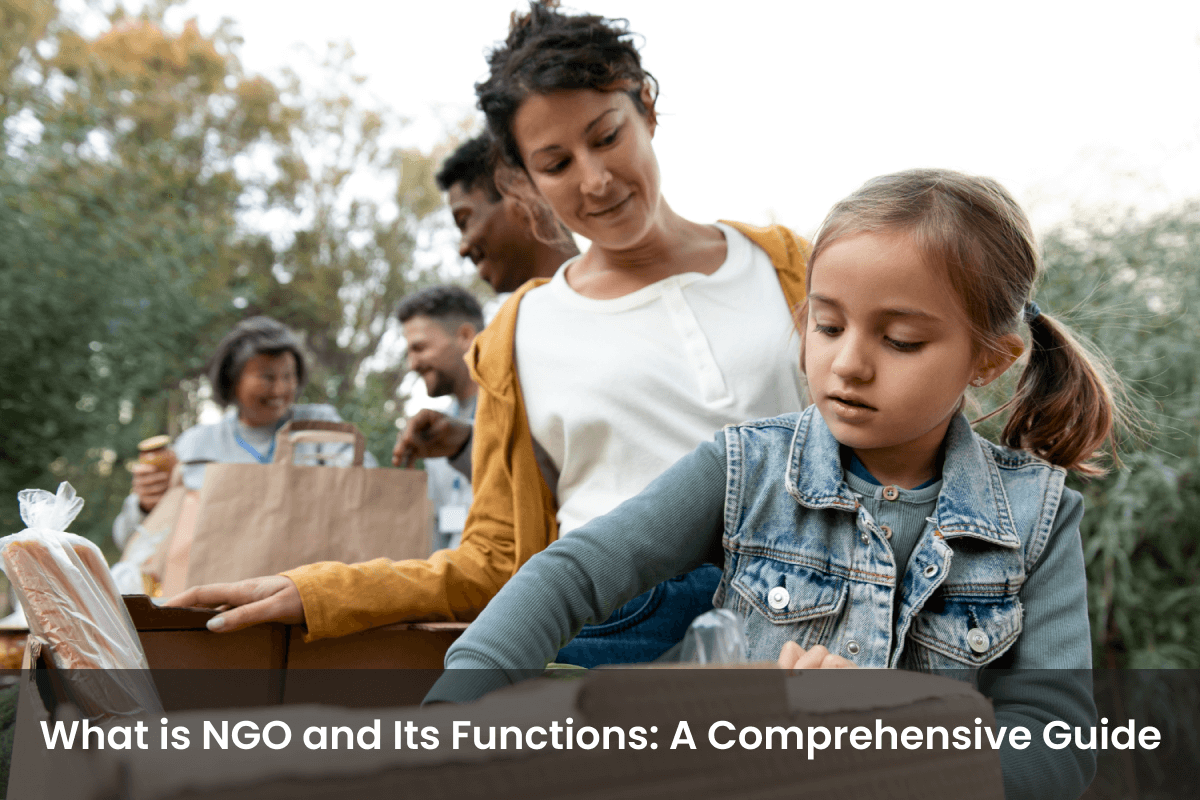 What is NGO and Its Functions