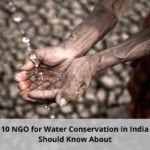 Top 10 NGO for Water Conservation in India You Should Know About