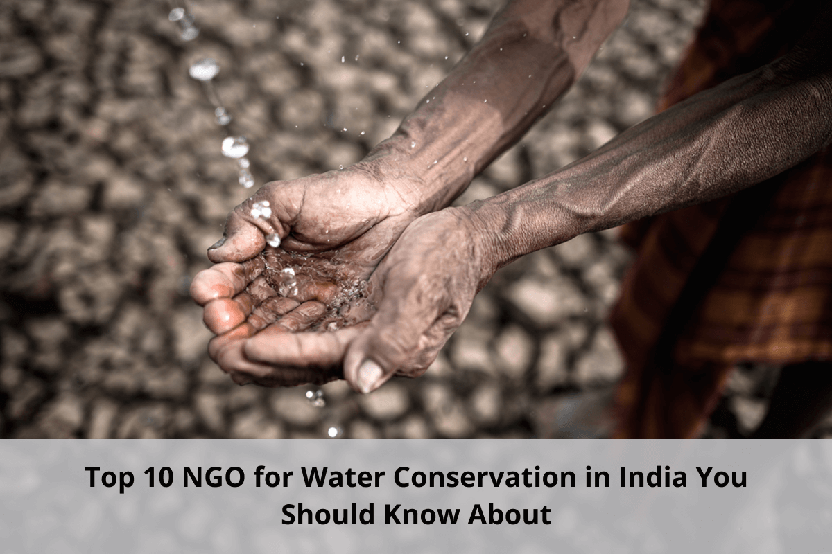 NGO for Water Conservation